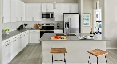 Luna at Lake Shadow apartments in Maitland Florida photo of modern kitchen