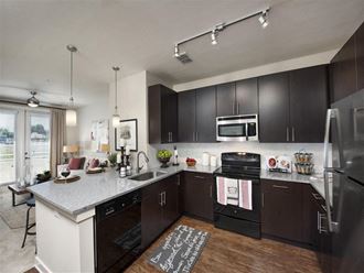 Lumi Hyde Park apartments in Tampa Florida photo of modern kitchen.