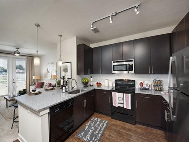 Lumi Hyde Park apartments in Tampa Florida photo of modern kitchen.