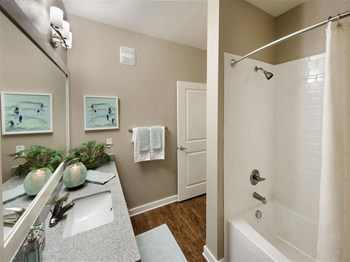 1702 W. Cleveland Street Studio-3 Beds Apartment for Rent - Photo Gallery 4