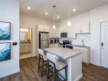 Icaria on Pinellas apartments in Tarpon Springs, FL photo of gourmet kitchen