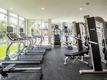 Icaria on Pinellas apartments in Tarpon Springs, FL photo of gym - Photo Gallery 19