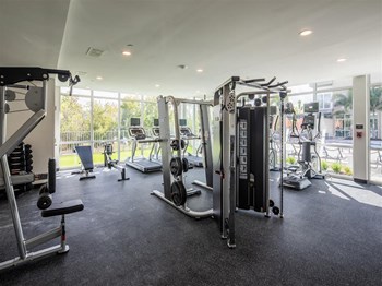 Icaria on Pinellas apartments in Tarpon Springs, FL photo of gym - Photo Gallery 20