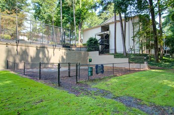 The Falls at Sope Creek Apartments in Marietta Georgia photo of dog park - Photo Gallery 20