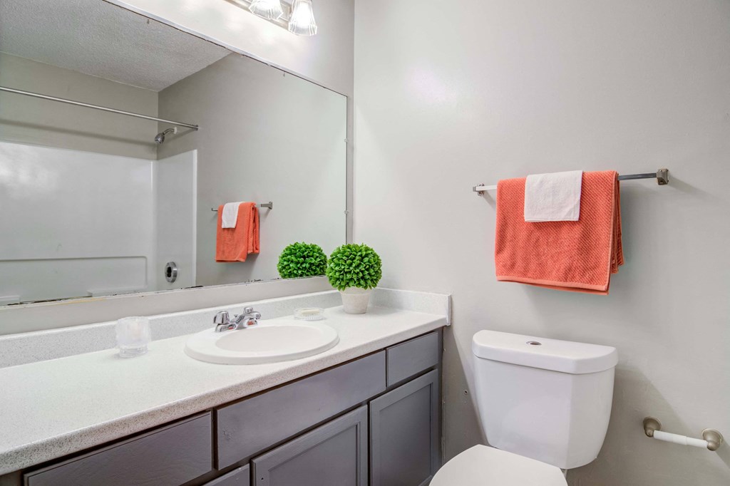 bathroom featuring contemporary design at Flats at River View apartments in Duluth, GA, near Lawrenceville.