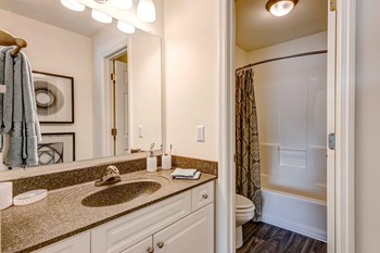 Lever-Style Door And Faucet Handles In Bathroom Lever-Style Door And Faucet Handles In Bathroom at Forest Ridge Apartments, Knoxville - Photo Gallery 6