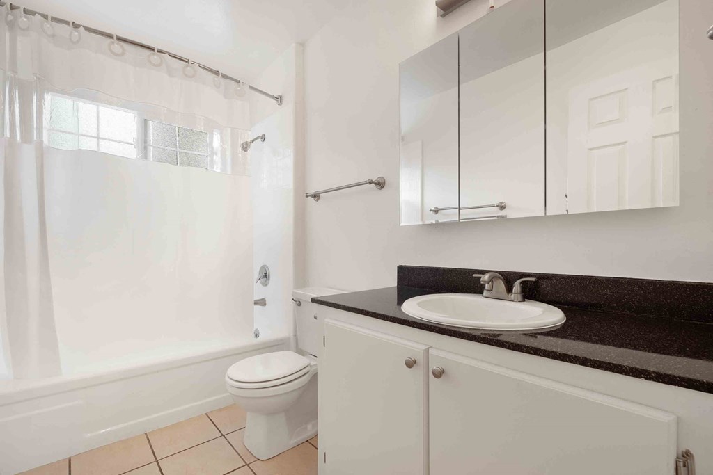 a bathroom with a sink and a toilet