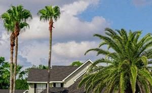 parking lot and outside of clubhouse - Photo Gallery 4