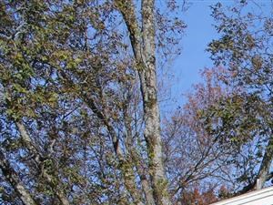 parking lot and outside of clubhouse - Photo Gallery 2