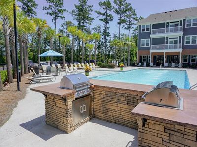Outdoor Grilling and Picnic Area