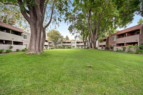 Pet-Friendly Apartments in Hayward, CA - Glen Oaks Apartments - Landscaped Courtyard Lawn With Large Shade Trees, Green Grass, and Two-Story Apartment Buildings Framing Open Outdoor Space.