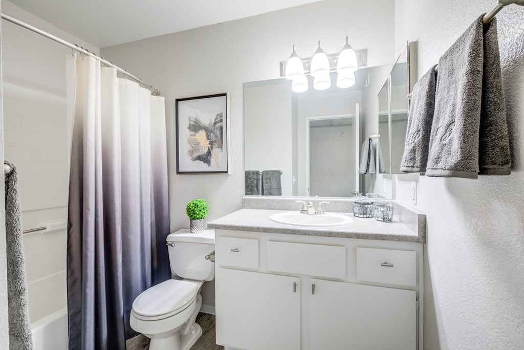 a bathroom with a shower and a toilet and a sink