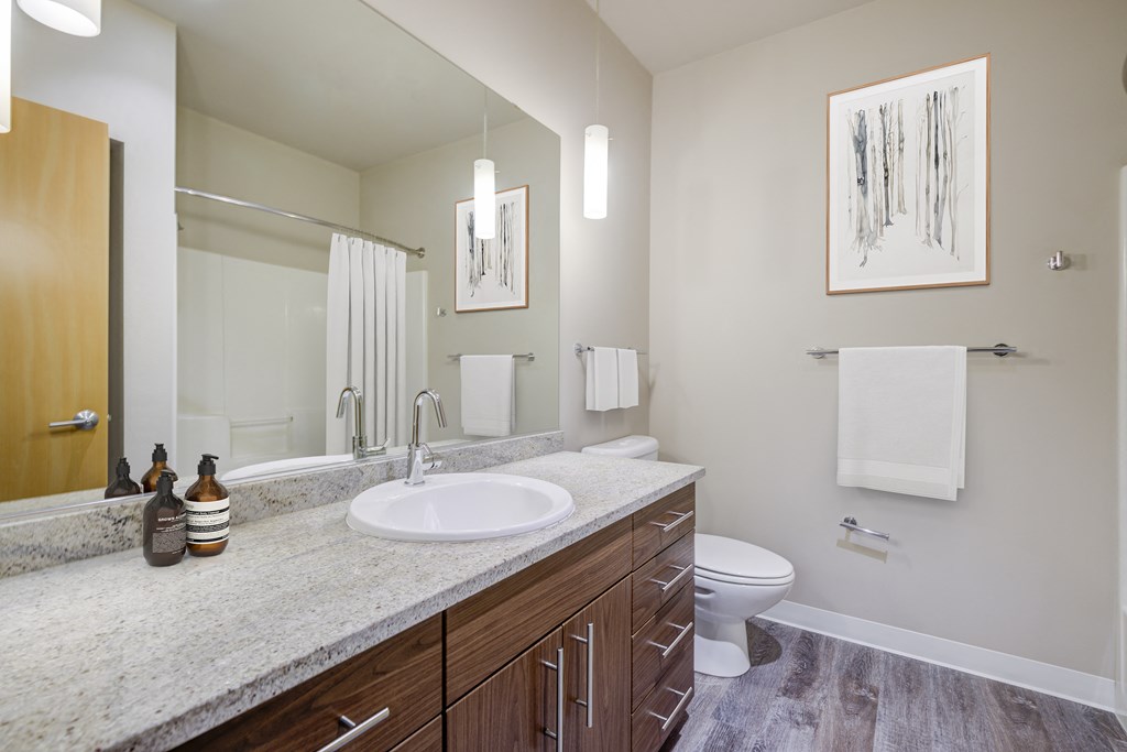 a bathroom with a sink and a toilet and a mirror