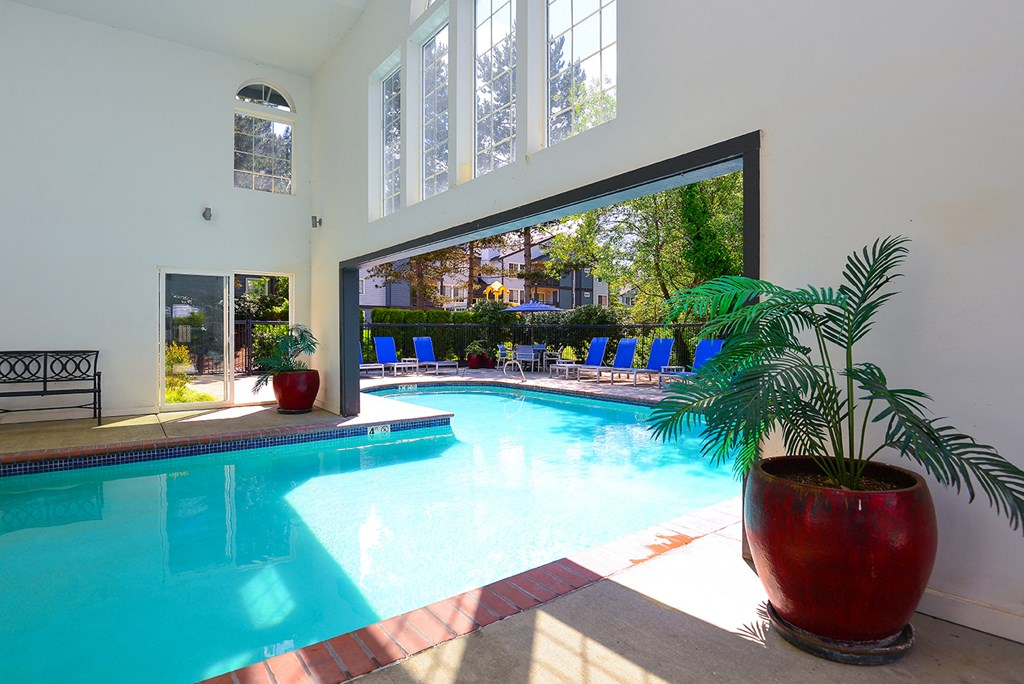 a swimming pool with a large window and a potted plant in front of it