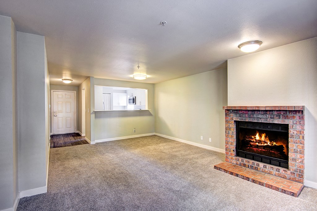 wood burning fireplaces