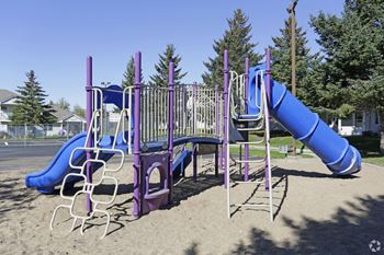 a playground with a blue and purple slide