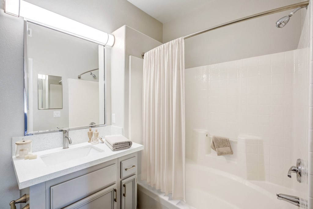 a bathroom with a shower and a sink and a mirror