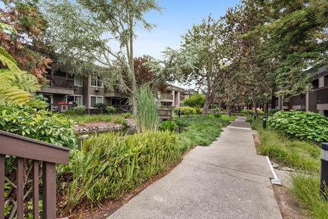 Apartments for Rent Santa Clara - Hidden Lake - Scenic Walkway Surrounded by Lush Greenery and Trees.