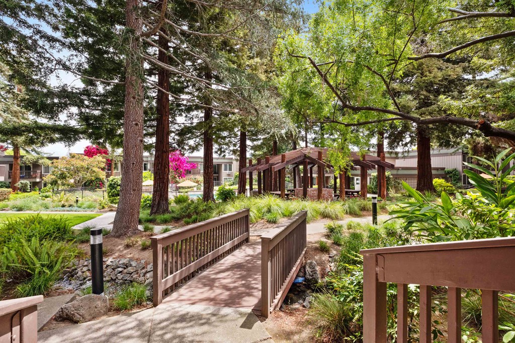 Apartments in Santa Clara, CA - Hidden Lake - Bridge Crossing a Creek on Walking Path Surrounded by Trees, with view of BBQ Area, Pool, and Apartment Buildings