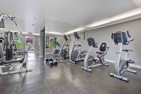 Pet-Friendly Apartments in Santa Clara, CA - Hidden Lake - Fitness Center with Cardio Machines, A Large Mirrored Wall, Dumbbells, and Weight Lifting Machine.