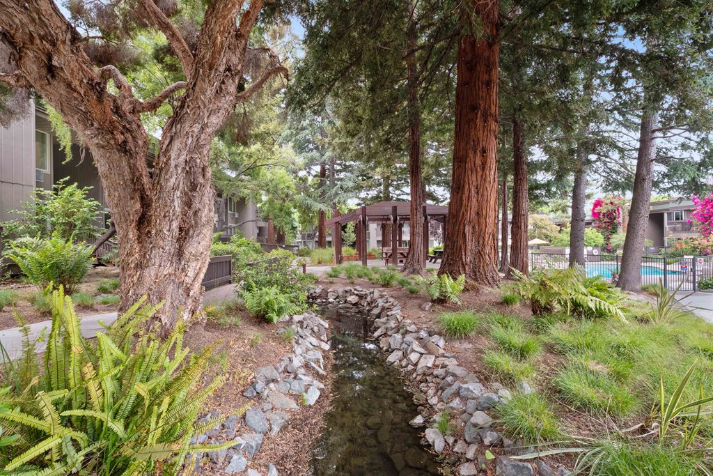 creek that runs through the property