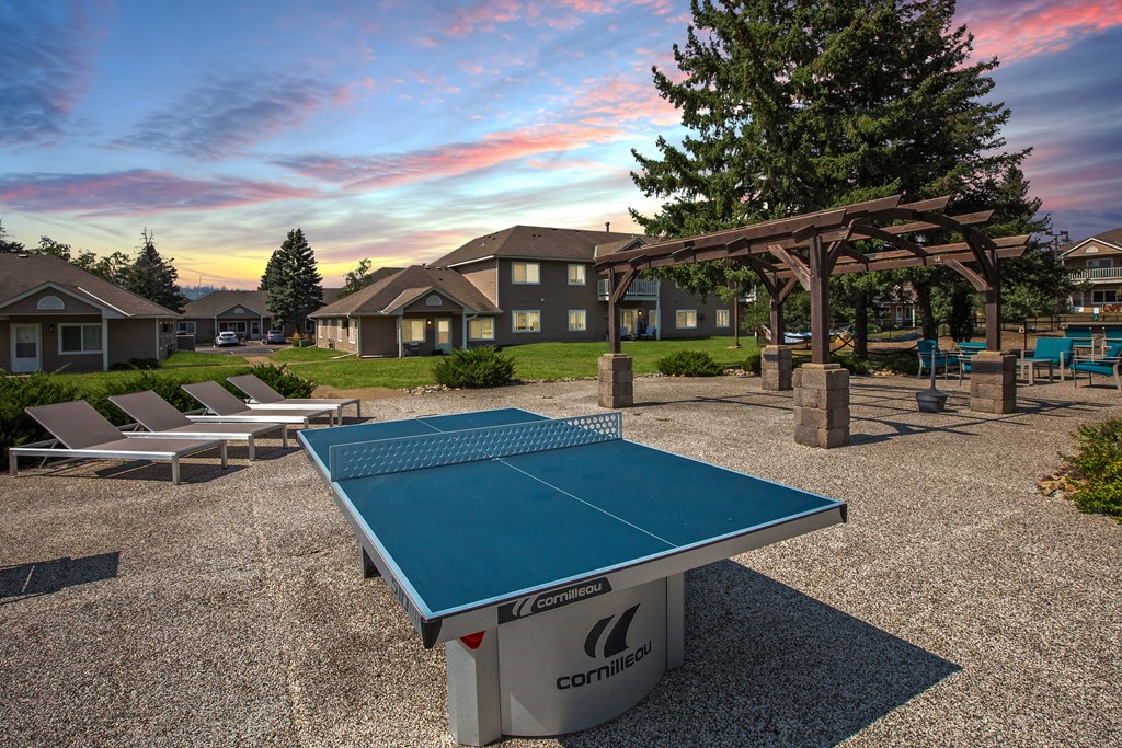 Hinton Height_Cottage Grove_MN_enjoy a game of ping pong at our community courts with picnic tables and chairs