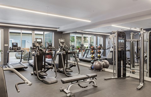 Dog-Friendly Apartments in Oakland, CA - Telegraph Arts - Fitness Center With Cardio Machines, Strength Equipment, Exercise Balls, Mirrored Wall, Modern Lighting, and Expansive Windows.