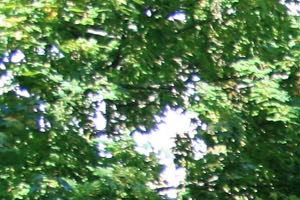 On-Site Management - Photo Gallery 3