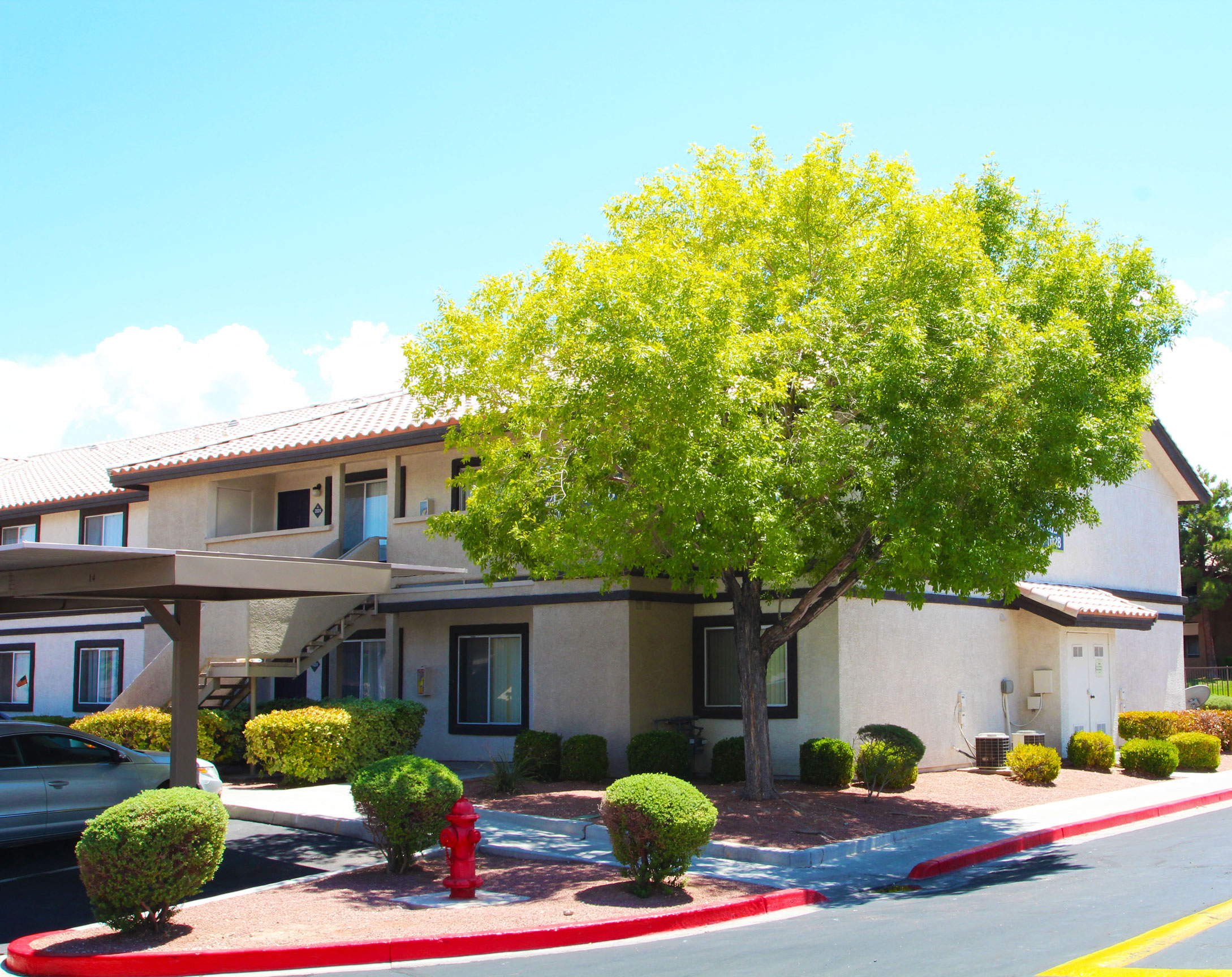 beautiful landscaping