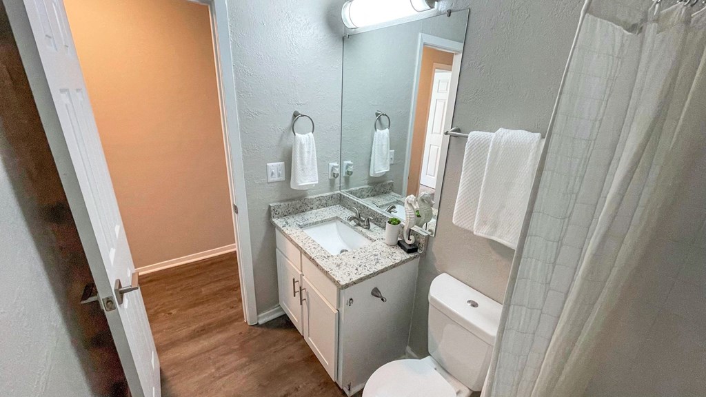 1 Park Central Apartments, Peachtree Corners, Georgia cozy bathroom