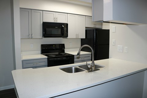 A kitchen with a black fridge and microwave.
