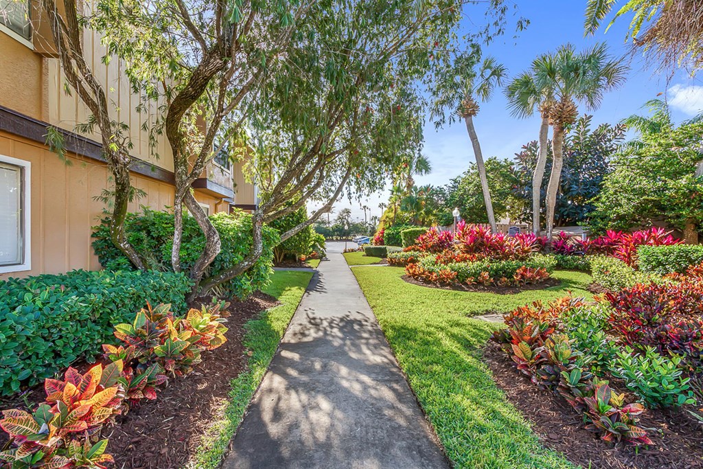Derby Park Apartments Daytona Beach, Florida a pathway with trees and flowers on either side of it