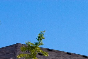 plenty of green spaces - Photo Gallery 3