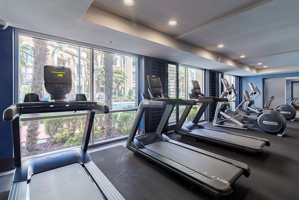 Milpitas, CA Apartments with In-unit Washer and Dryer - Ilara Apartments - Fitness Center with Cable Machines, Free Standing Weights, and Cardio Equipment