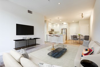 1201 S. Main St. Studio-2 Beds Apartment for Rent - Photo Gallery 4