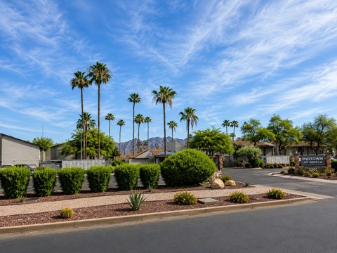 A street view of a residential area with palm trees and a sign that reads "Midtown.".