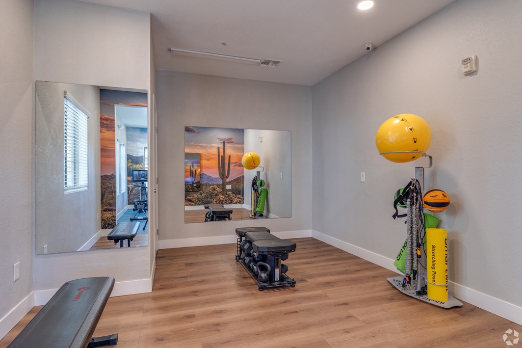 A gym with a treadmill, weights, and exercise balls.