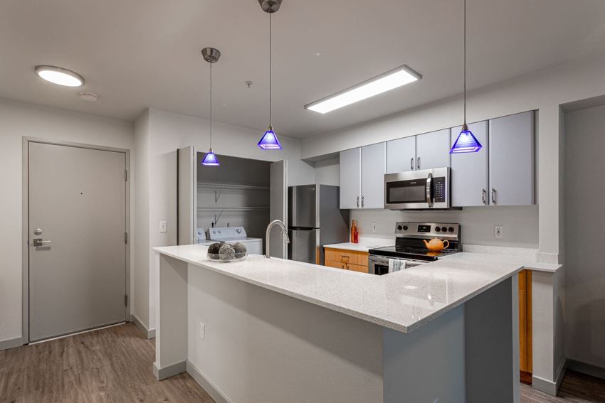 kitchens with contemporary lighting and stainless steel appliances