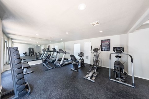 A spacious gym with a variety of equipment including treadmills, stationary bikes, and weight machines.