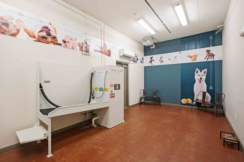 Juno at Winter Park apartments in Winter Park Florida photo of pet spa.