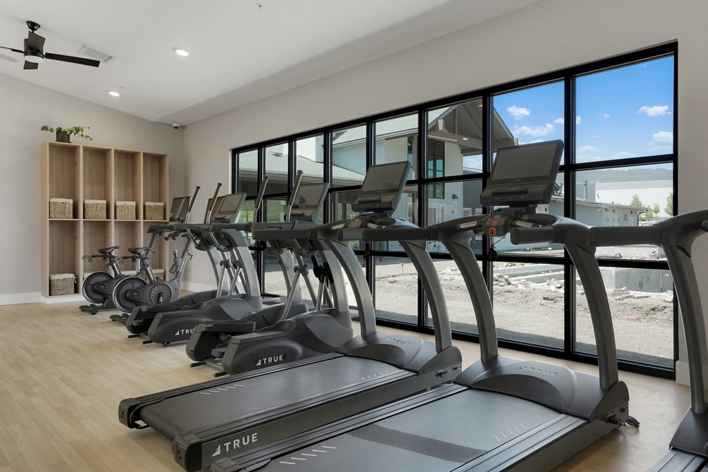 a row of treadmills in a fitness room with windows