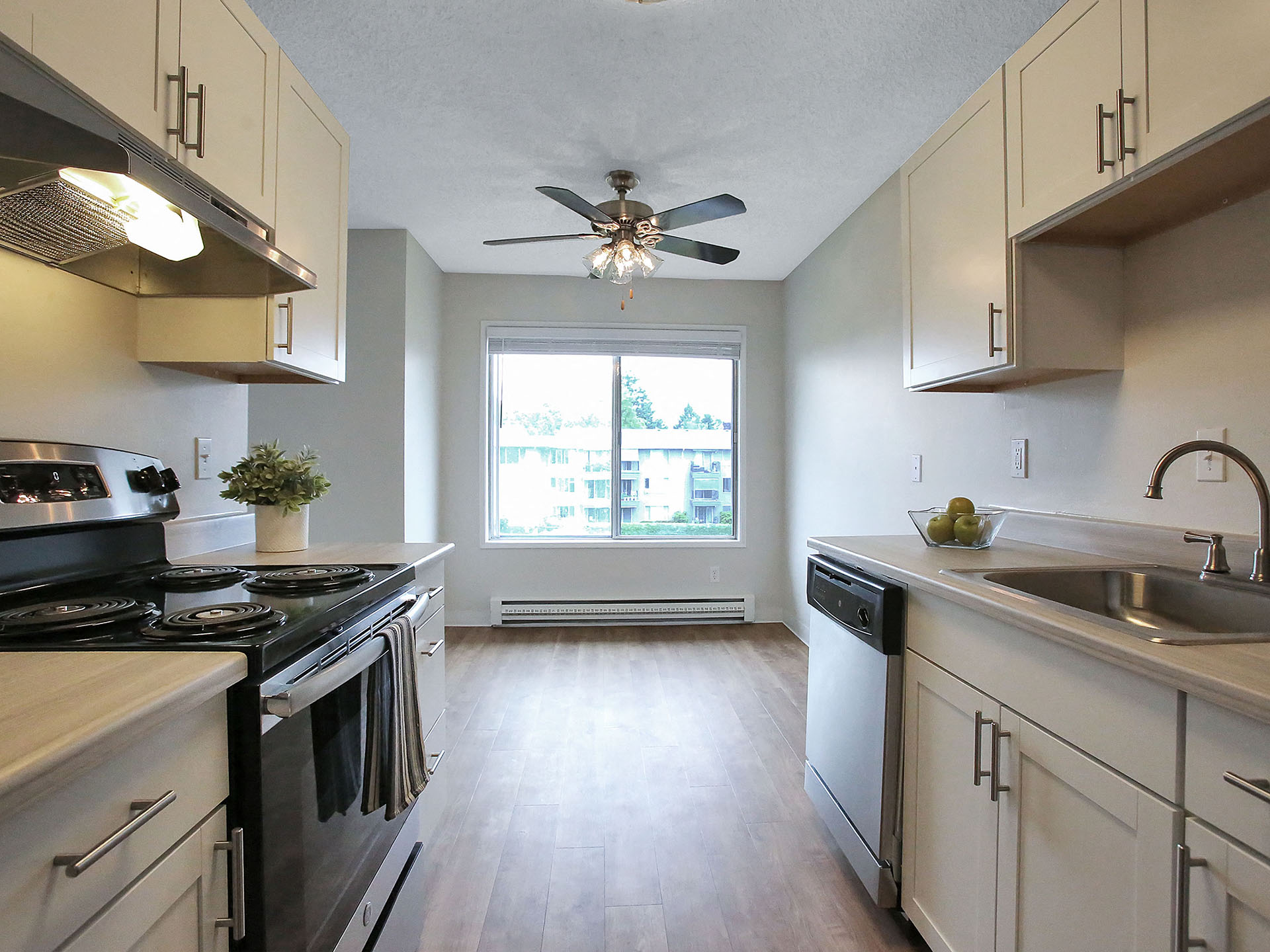 lots of natural light in apartment