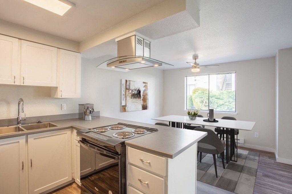 a kitchen with a stove and a sink and a window