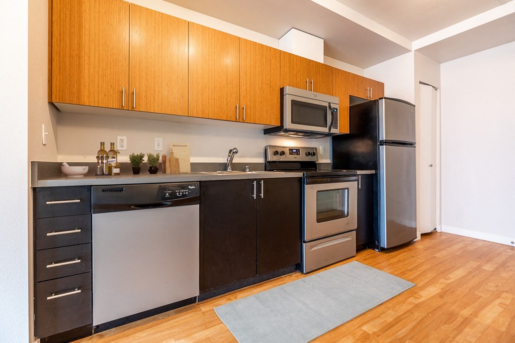kitchens come fully equipped with stainless steel appliances
