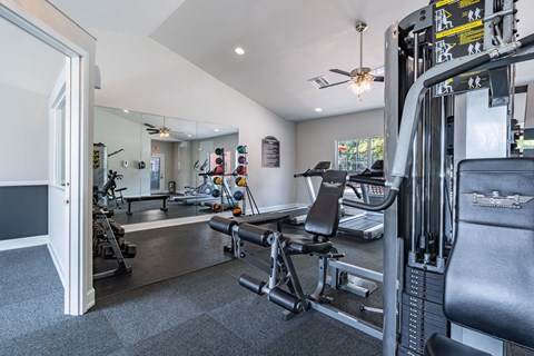 Lancaster Place Apartments in Calera Alabama photo of fitness center