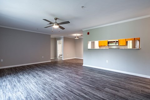 Lancaster Place Apartments in Calera Alabama photo of kitchen with living room