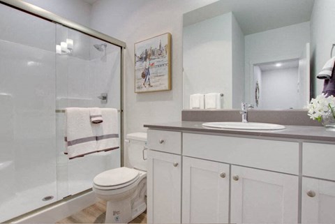 a bathroom with a sink toilet and a shower