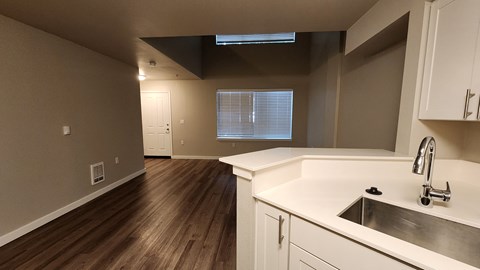 A kitchen with a sink and a window.