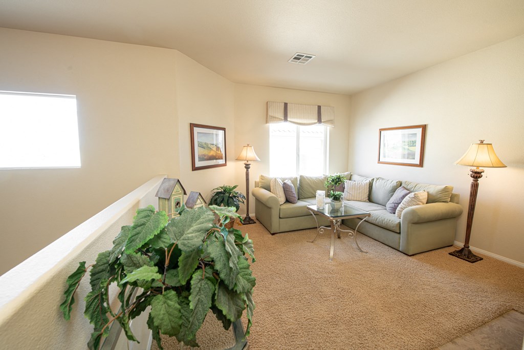 a living room with couches and a table with a plant