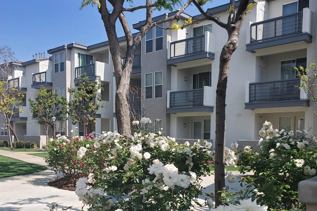 a picture of an apartment building with trees and flowers in the foreground